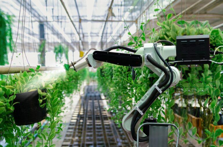 Australia has built a farm that is controlled by AI and robots Auto Skup